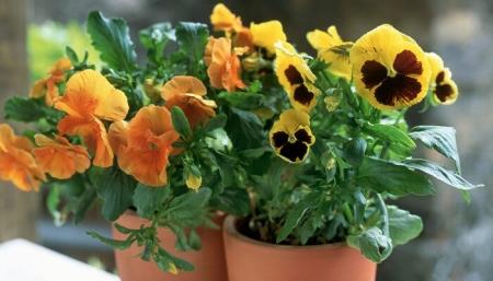 ​银行保函是做什么的银行保函是指什么