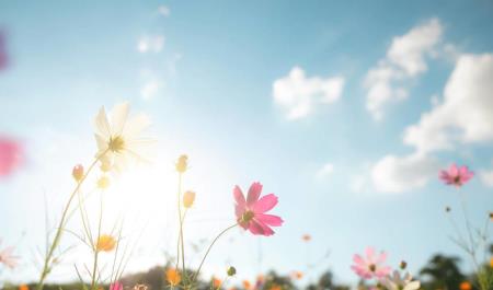 ​蛋挞皮黑了？蛋挞中间黑了