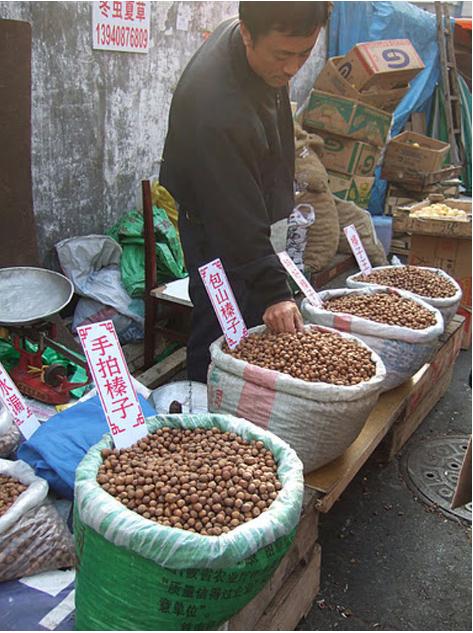 大连历史详细介绍(十五年前的大连掠影)(91)