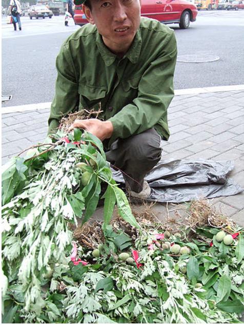 大连历史详细介绍（十五年前的大连掠影）(118)