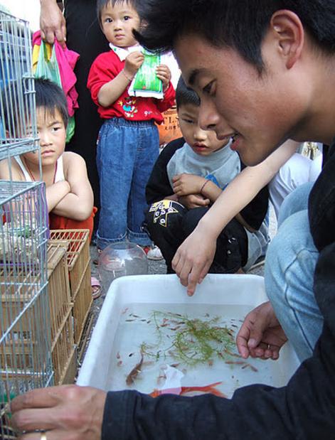 大连历史详细介绍（十五年前的大连掠影）(133)