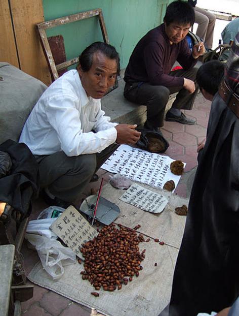 大连历史详细介绍（十五年前的大连掠影）(110)