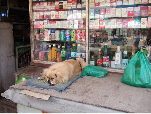 大连历史详细介绍（十五年前的大连掠影）(134)