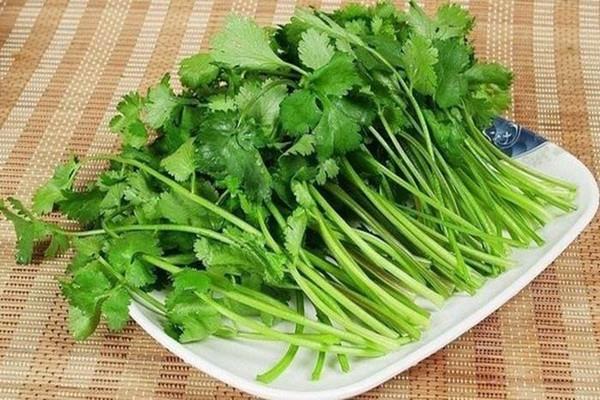 香菜属于发物类吗 香菜根可以吃吗
