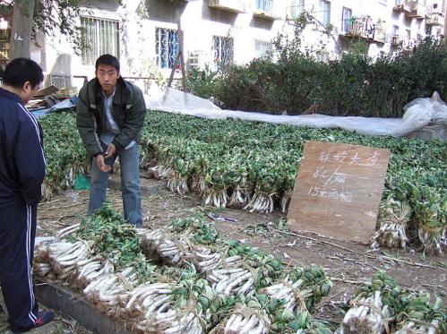 大连历史详细介绍（十五年前的大连掠影）(50)