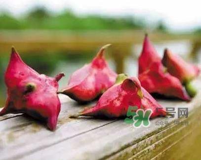 红菱怎么吃?吃红菱有什么好处? 红菱怎么吃?吃红菱有什么好处?