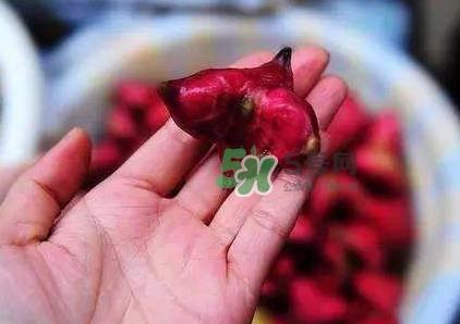 红菱怎么吃?吃红菱有什么好处? 红菱怎么吃?吃红菱有什么好处?