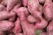 红薯和甘蔗能一起吃吗？红薯和甘蔗一起吃好吗？