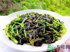 红苋菜补血吗?吃红苋菜有什么好处?