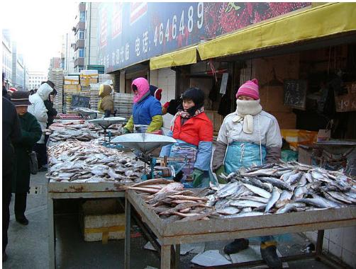 大连历史详细介绍（十五年前的大连掠影）(94)