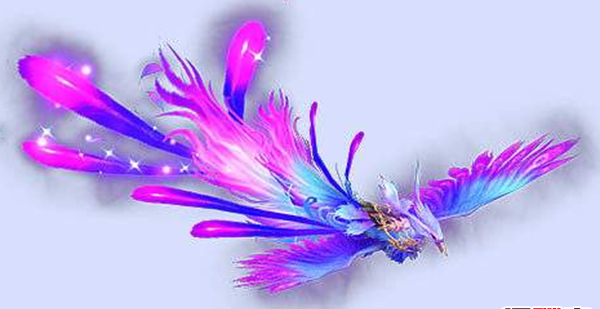 九凤是什么鸟?九凤有什么标记意思(平安快乐的九头神鸟)