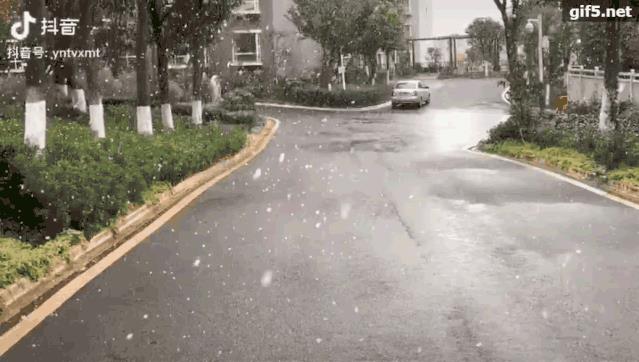 四季如春的昆明下雪了!连四季如春的昆明都下雪了!惊动中央气象台,引大批网友求雪