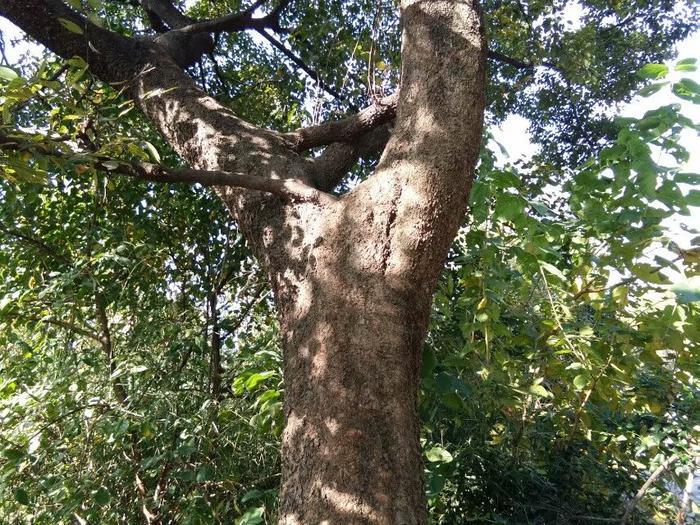 女儿嫁人后, 不要经常回娘家, 更不能长期住在娘家