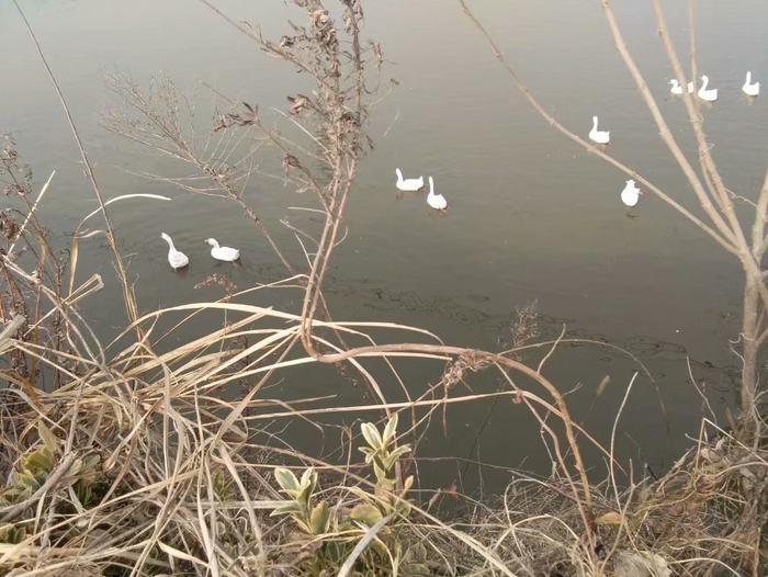 女儿嫁人后, 不要经常回娘家, 更不能长期住在娘家