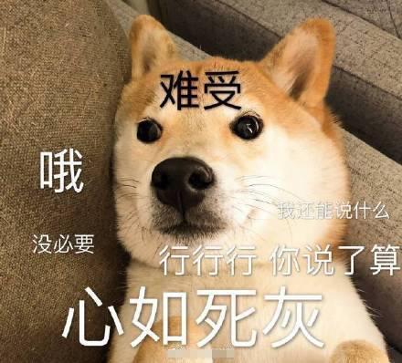 搞笑图片：小柴犬的表情包|来个热吻吗？宝贝儿