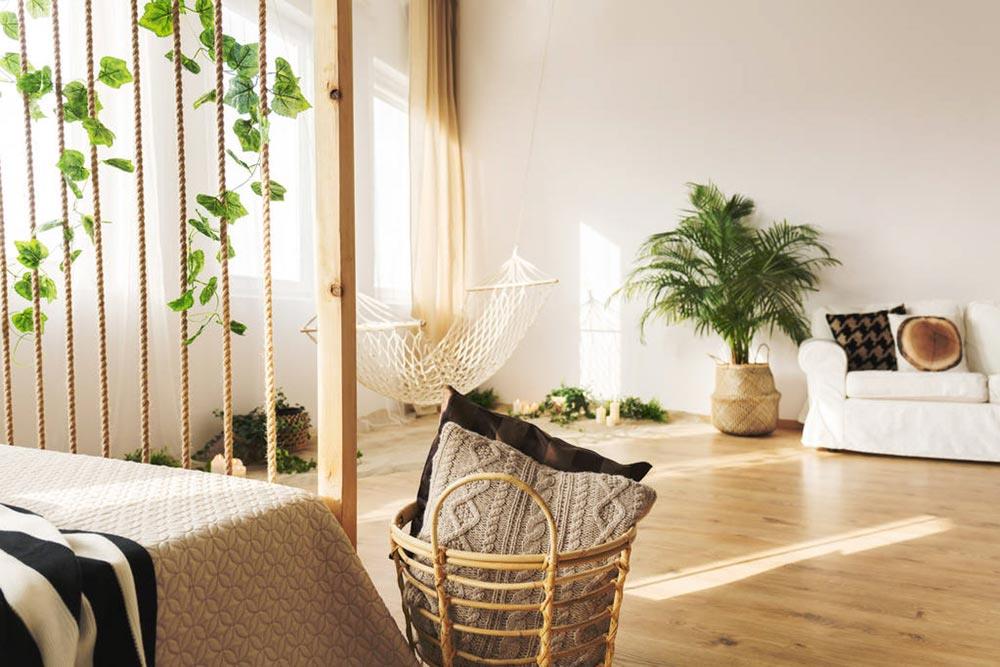 香荚蒾的播种繁殖