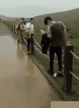 搞笑动图：当女神学会“葛优躺”，这姿势有点意思！