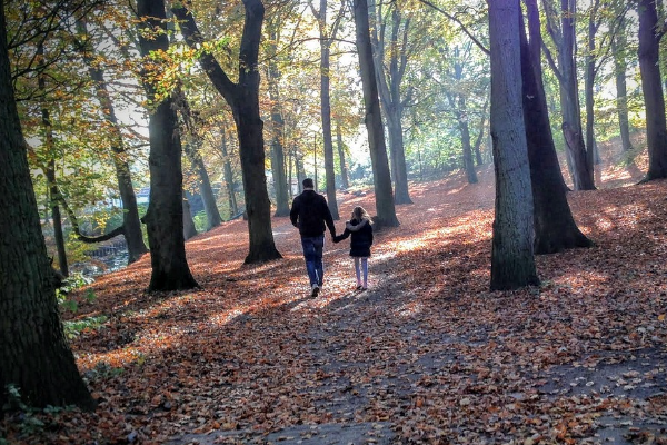 哪种同房方法易生男孩.png 哪种同房方法易生男孩.png