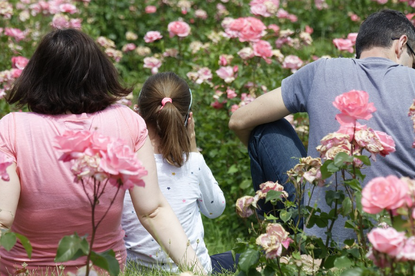备孕前怎样调理生儿子.png 备孕前怎样调理生儿子.png