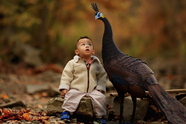 有什么办法怀男孩几率高一点.png 有什么办法怀男孩几率高一点.png