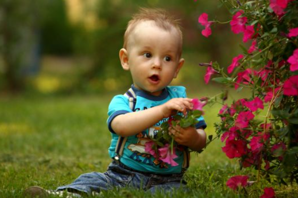 怀不上男孩是女人的问题吗.png 怀不上男孩是女人的问题吗.png