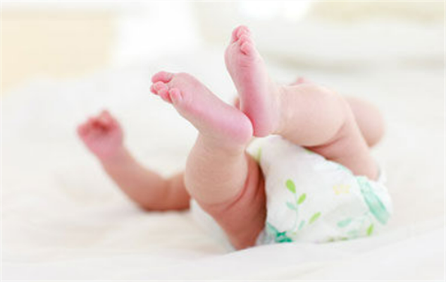 性别是什么决定的.png 性别是什么决定的.png