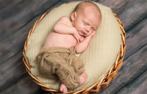 2024年必生儿子的属相有哪些.png 2024年必生儿子的属相有哪些.png