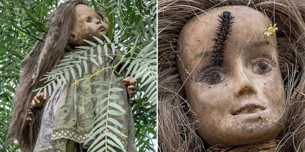 带你走进墨西哥的娃娃岛 一个让人望而却步的诡异岛屿