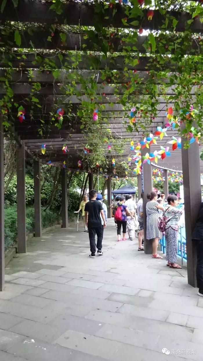 七月仲夏里的南充北湖,好一派美景如画的城市园林风光