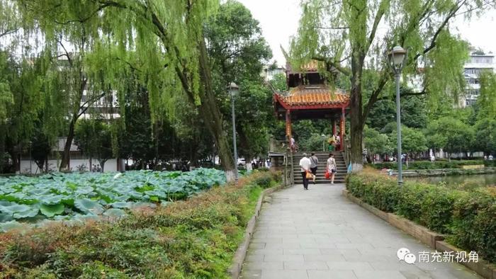 七月仲夏里的南充北湖,好一派美景如画的城市园林风光
